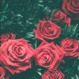 Meet your Posher, Katherine